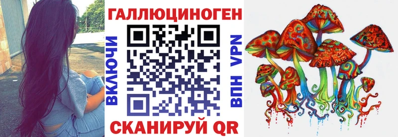 Псилоцибиновые грибы Psilocybe где продают Кунгур